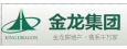 金龙控股