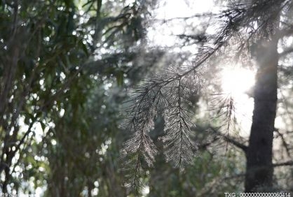 武汉医保新政策2023年最新消息(武汉医保改革前后对比)