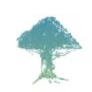 树兰（杭州）医院有限公司logo