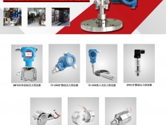 压力传感器芯体_电容式变送器_电容式压力/差压变送器_平法兰变送器_插入式变送器-上海天豪自动化仪表厂
