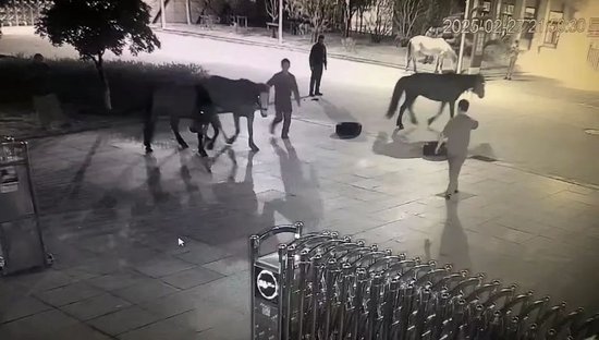 马儿“夜游”派出所，民警巧用DeepSeek寻主人