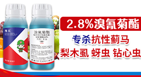 河南周口市中科化工有限公司