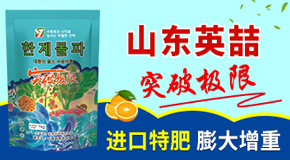 山东英喆进出口有限公司