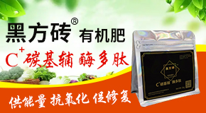 寿光市丰田农业科技发展有限公司