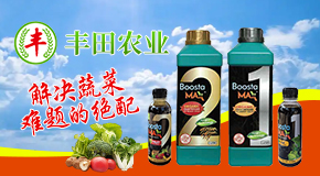 寿光市丰田农业科技发展有限公司