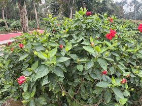 从臭氧层关键词出发：剖析人类活动如何威胁...