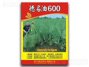 德名油600-油菜种子-德名种业