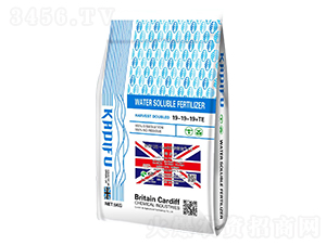 英国UK-Cardiff倍得亩1号水溶肥料19-19-19+TE-卡迪夫