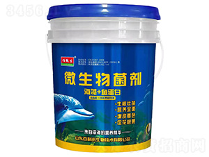 海藻+鱼蛋白微生物菌剂-佰微生-百利来