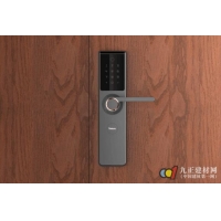 云柚科技新品发布会 云柚智能门锁图片