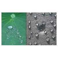 环保防水涂料 渗透结晶防水剂 高分子渗透涂料