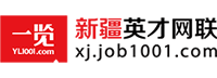 新疆英才网联