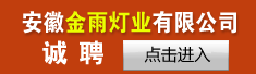 安徽金雨灯业有限么司