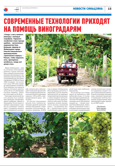 现代科技提升新疆兵团葡萄种植效率 现代科技提升新疆兵团葡萄种植效率